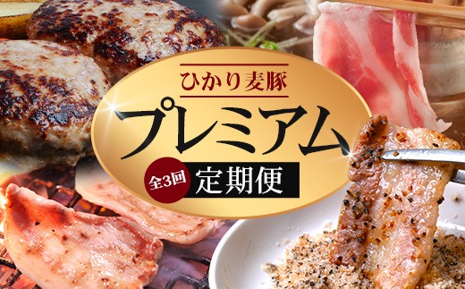 [定期便全3回]ひかり麦豚 プレミアム定期便 ≪月替わりでしゃぶしゃぶ・焼肉・ハンバーグをお届け!≫ 冷凍 HM-11 | 精肉 お惣菜 肉 お肉 にく 豚肉 焼き肉 バーベキュー ロース肉 肩ロース バラ肉 真空冷凍 産地直送 小分け パック 手作り 鹿児島県 南大隅町 ひかり麦豚直売所