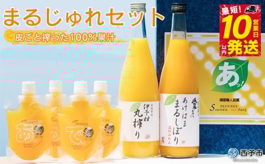 ＜まるじゅれセット MJ-1＞ 温州みかん いよかん ミカン 飲むゼリー ジュレ オレンジ ジュース デザート スイーツ あけはまシーサイドサンパーク 贈答用 愛媛県 西予市【常温】『最短10営業日以内に順次発送予定』