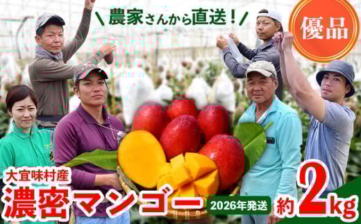 【2026年発送】濃密マンゴー《優品・約2kg》大宜味村農家さんから直送！ 優品 先行予約 沖縄 甘味 糖度 濃厚 おいしい お土産 まんごー アーウィン 果物 くだもの 果実 送料無料 ふるさと納税 ２キロ トロピカル 化粧箱入り 食べ物 フルーツ