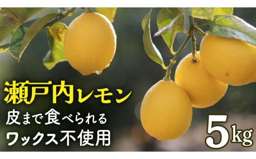 せとうちレモン 約5kg 12～1月発送 瀬戸内 国産 レモン 瀬戸内レモン 檸檬 柑橘 防腐剤 ワックス 不使用 皮まで丸ごと食べられる 広島県 大崎上島町 離島 産地直送 岩﨑農園 338595 - 広島県大崎上島町