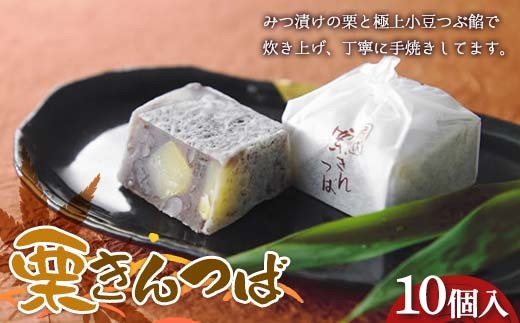 〈御菓子司 恵那福堂〉栗きんつば 10個入 F4N-2442