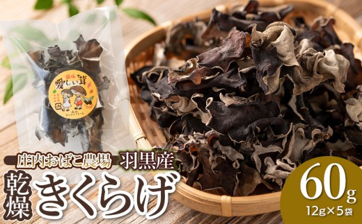 羽黒産 乾燥キクラゲ 60g(12g×5)　山形県鶴岡市 農事組合法人 庄内おばこ農場 K-710