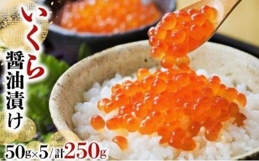いくら醤油漬け 250g（50g×5）【2025年10月発送】 いくら 海鮮 北海道 イクラ 冷凍 醤油漬け 海産物 045-a008-10