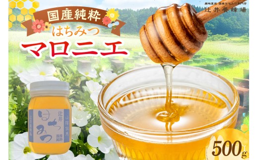 【国産純粋 マロニエはちみつ 500g 瓶】国産 純粋 マロニエ はちみつ ハチミツ 蜂蜜 栃の木 やさしい 香り まろやか パン ヨーグルト おすすめ 兵庫県 香美町 辻井養蜂場 81-04
