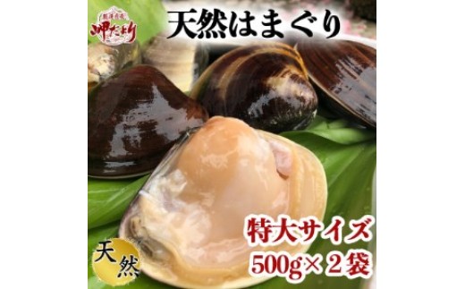 希少 天然 はまぐり 特大サイズ 500g×2袋 岬だより 冷凍 はまぐり 天然貝 魚貝 海鮮 魚介 新鮮 はまぐり 蛤 ハマグリ 蛤鍋 はまぐり はまぐり鍋 ふるさと納税貝 ふるさと納税はまぐり ふるさと納税ハマグリ ふるさと納税蛤 人気 おすすめ 愛知県 南知多町