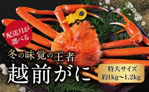 【2026年3月発送・指定日着可】越前がに（オス）「ずわいがに」特大サイズ（1.0-1.2kg） 1杯