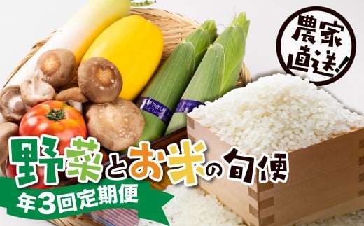 [R-9][定期便]郡上の旬野菜とお米(年3回) 食品 野菜 セット 詰め合わせ 25000円