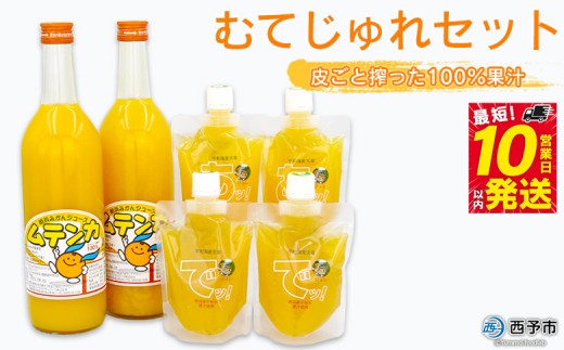 ＜むてじゅれセット（みかんジュース「ムテンカ」720ml×2本 じゅれ 2種×2個）MJ-2＞温州みかん ミカン 飲むゼリー あけはまシーサイドサンパーク 贈答用 愛媛県西予市【常温】『最短10営業日以内に順次発送予定』
