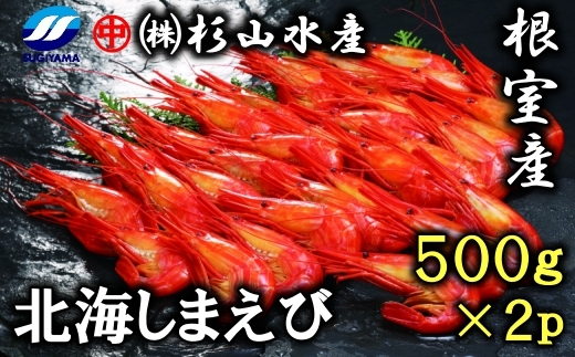F-75001 【北海道根室産】北海しまえび500g(28～34尾)×2P