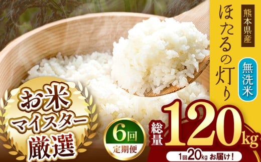 【 定期便 6回 】熊本県産 無洗米 ほたるの灯り 20kg | お米 米 こめ おこめ 精米 20キロ 国産 国産米 定期 くまもと 熊本 熊本県 玉名市 玉名