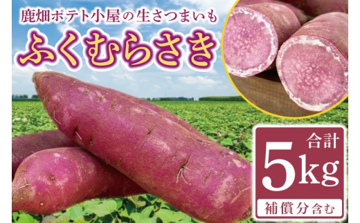 [先行予約]鹿畑ポテト小屋の生さつまいも ふくむらさき 計 約5kg(4kg+約25%補償分)[鹿嶋市 減農薬 熟成 貯蔵 サツマイモ 紫いも 甘い 5キロ 10000円以内 1万円以内] (KBR-12)