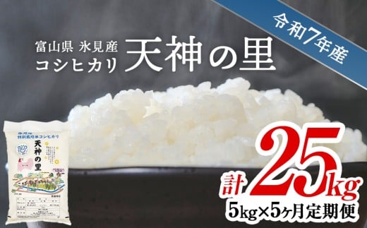 【特別栽培米】 〈5ヶ月定期便〉 令和7年産 富山県産 特別栽培米 コシヒカリ 天神の里５kg　｜　お米 白米 精米 氷見 富山 米 国産  定期便 5ヶ月 毎月 25kg 特別栽培 エコファーマー 数量限定 コシヒカリ こしひかり 特別栽培米 安心 環境にやさしい