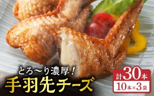 手羽先チーズ30本入り_M025-001-05