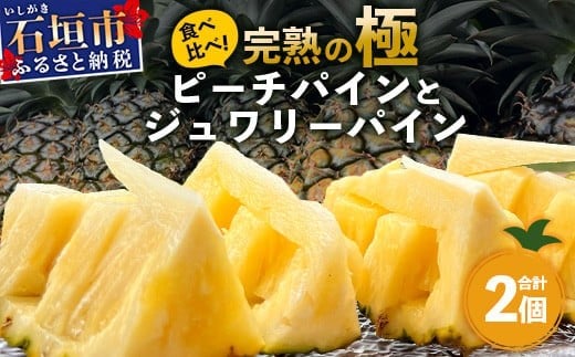 《2026年5月～7月順次発送》【先行予約】最高糖度20度以上！？ 完熟の極 石垣島産ピーチパインとジュワリーパインの食べ比べセット【 沖縄 石垣 ジュワリー ピーチ パイン パイナップル 完熟 セット フルーツ デザート 食べ比べ 】 TF-32_R8 1456965 - 沖縄県石垣市