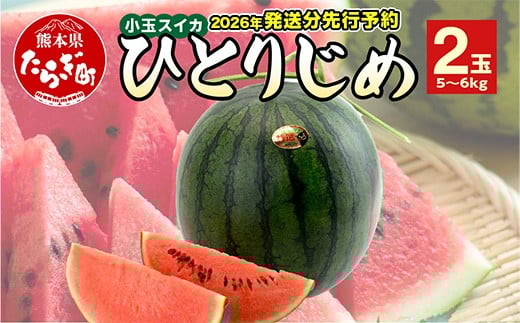 【2026年5月上旬順次発送 先行予約】小玉スイカ ひとりじめ (2玉)  令和8年 夏 スイカ 食べきりサイズ 西瓜 フルーツ 果物 旬の味覚 すいか 甘い 産地直送 008-0663 2234387 - 熊本県多良木町