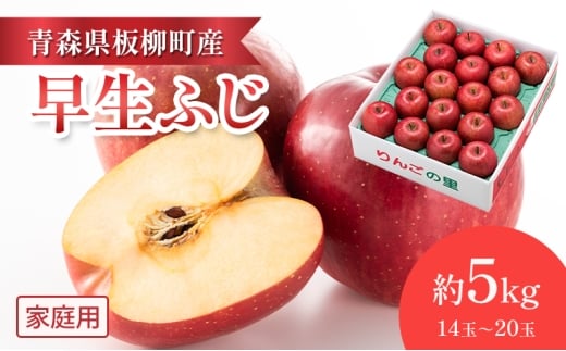 【一足早くふじの味・早生ふじ】家庭用/早生ふじ/約5kg　青森県　りんご　リンゴ　林檎　フルーツ　くだもの　果物
