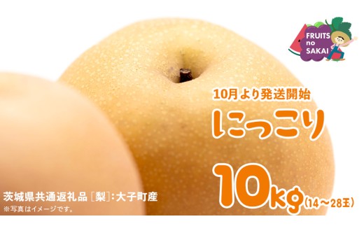 にっこり 梨 10kg （14～28玉）【2025年10月より発送開始】（茨城県共通返礼品 [梨]：大子町産） なし 旬 お取り寄せ フルーツ 甘い ジューシー 和梨 時期