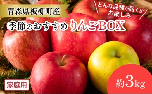 【どんな品種が届くかお楽しみ】季節のおすすめりんごBOX/家庭用/詰め合わせ/約3kg　青森県　りんご　リンゴ　林檎　フルーツ　くだもの　果物