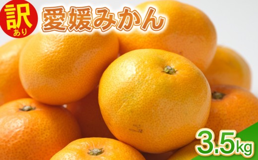訳あり愛媛みかん 3.5kg 温州みかん みかん 先行予約 柑橘 傷み補償 傷み保証 不揃い みかん ミカン 蜜柑 サイズミックス 規格外 フルーツ 果物 フルーツ果物 先行受付 常温 愛南町 青果市場 愛媛県