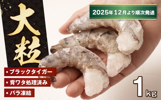 至福の大粒むきえび　背ワタ処理済 1kg【2025年12月より順次発送】　　[ムキエビ 大型 背わたなし むき海老 ブラックタイガー 下処理済み 冷凍 背ワタなし 高級]