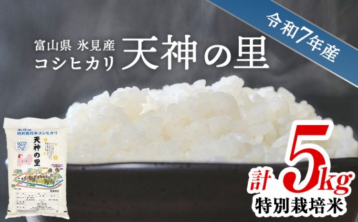 【特別栽培米】 令和7年産 富山県産 特別栽培米 コシヒカリ 天神の里 ５kg ｜　お米 白米 精米 氷見 富山 米 国産 特別栽培 5kg エコファーマー 数量限定 コシヒカリ こしひかり 人気 お取り寄せ 減農薬 減化学肥料 安心 安全 環境にやさしい 農家直送