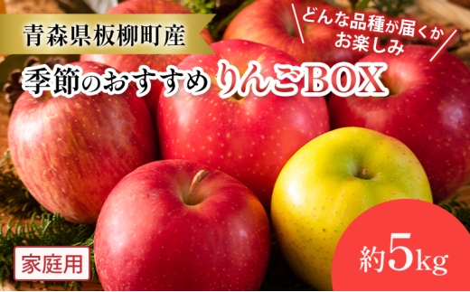 【どんな品種が届くかお楽しみ】季節のおすすめりんごBOX/家庭用/詰め合わせ/約5kg　青森県　りんご　リンゴ　林檎　フルーツ　くだもの　果物