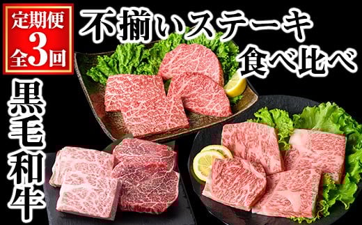 ＜定期便・全3回＞黒毛和牛不揃いステーキ食べ比べ定期便 (合計1.04kg) 黒毛和牛 赤身 訳あり 【KNOT】 T63