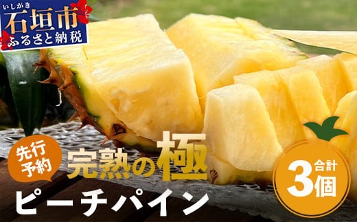 《2026年4月以降順次発送》【先行予約】最高糖度20度！？ 完熟の極 石垣島産パイナップル ピーチパイン3個セット【 沖縄 石垣島 石垣 八重山 パイン ピーチパイン 期間限定 数量限定 沖縄県 石垣島産 】TF-1-1_R8 1101441 - 沖縄県石垣市