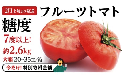 【9/30まで早期予約 特別寄附金額】《 2026年収穫分 先行予約 》 糖度7度以上 フルーツトマト 大箱 約2.6kg × 1箱 (20～35玉/1箱) ブランドトマト 野菜 ギフト 贈答 [BC018sa]