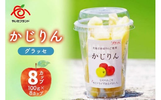 【定期便6回】かじりんグラッセ 8個入りセット｜セミドライフルーツ 半生 アップル りんご 林檎 リンゴ 果実 スイーツ 産地直送 (毎月お届け）