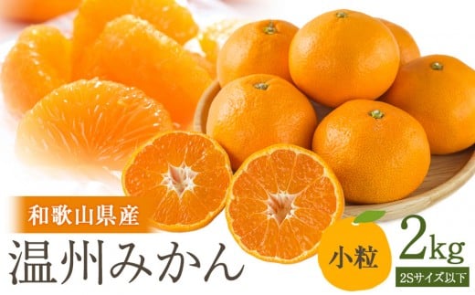 ［先行予約］訳あり 温州みかん 約2kg 小粒［2025年11月上旬頃から順次発送予定］ 2245637 - 和歌山県海南市