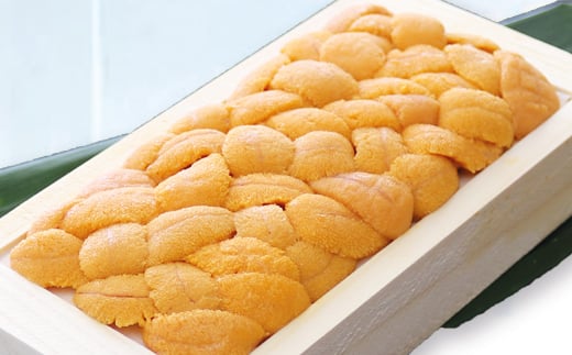 A-71049 エゾバフンウニ(黄色～赤系)100～110g×1折[11月上旬以降発送]