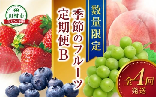 ＼ 旬の時期お届け！【全4回】 2026年1月スタート ／ フルーツ定期便B 農家直送 自分へのご褒美 数量限定 旬 季節 果物 フルーツ セット いちご 苺 冷凍 ブルーベリー 桃 ぶどう シャインマスカット 人気 福島県 田村市