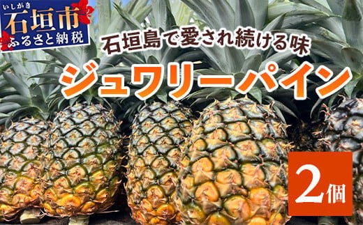 【予約受付】《2026年5月下旬～7月中旬発送》最高糖度18度！？ 完熟の極 石垣島産ジュワリーパイン 【 沖縄県 石垣市 石垣島 完熟 パイン パイナップル ジュワリー 予約受付 】TF-16-1_R8 1217840 - 沖縄県石垣市
