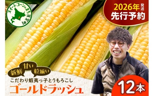【先行受付】【2026年7月25日～8月15日頃発送予定】朝採りをお届け！ 北海道十勝芽室町　蝦夷っ子とうもろこし ゴールドラッシュ 12本 me076-009c-26 2088150 - 北海道芽室町