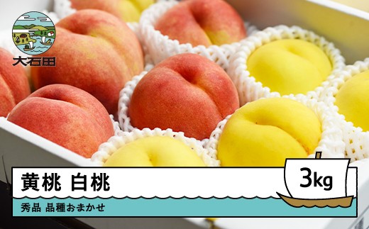 【先行予約】黄桃&白桃 品種おまかせ 計約3kg 2026年産 令和8年産 果物 ふるさと納税 果物 くだもの フルーツ 期間限定 冷蔵配送 先行受付 グルメ 取り寄せ ご当地 特産 産地 直送 送料無料 東北 山形県 人気  山形県 ry-mohot3000 2202218 - 山形県大石田町
