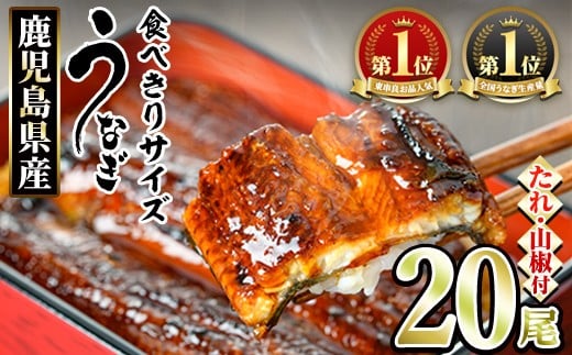 【0734328a】＜食べきりサイズ！＞東串良町のうなぎ蒲焼(無頭)(20尾・計2000g・タレ、山椒付) うなぎ 高級 ウナギ 鰻 国産 蒲焼 蒲焼き たれ 鹿児島 ふるさと 人気 【アクアおおすみ】