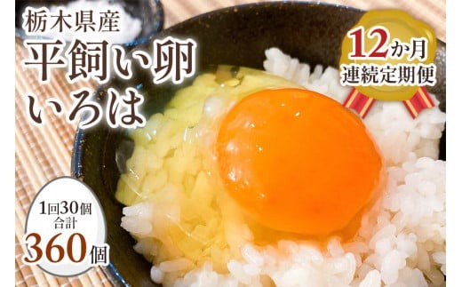 【定期便12回】全体的に甘みとコクのある黄身が特徴 ワタナベファームの優等生な末っ子【平飼い卵いろは】 (毎月お届け）