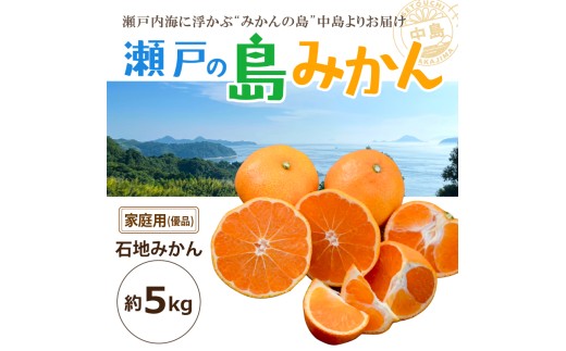 【先行予約】 瀬戸内海の島みかん 家庭用 (優品)【石地みかん】約5kg | 柑橘 みかん 密柑 オレンジ フルーツ 果物【2026年1月頃発送予定】 愛媛県 松山市 ココオ Koko'o
