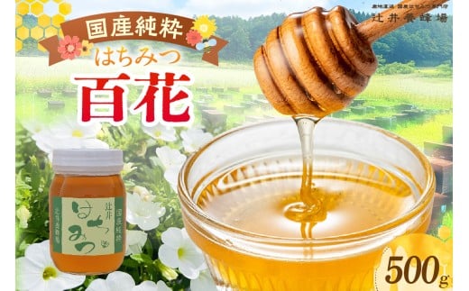 【国産純粋 百花はちみつ 500g 瓶】国産 純粋 百花 はちみつ ハチミツ 蜂蜜 紅茶 パン ヨーグルト おすすめ 兵庫県 香美町 辻井養蜂場 81-05