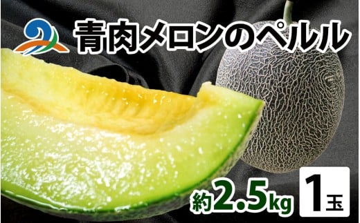 [先行予約]青肉メロンのペルル[2026年6月下旬から順次発送]ペルルメロン 青肉メロン 果物 予約 福井県 南越前町 フルーツ メロン めろん 青肉メロン 果物 くだもの 新鮮 さっぱり 爽やか 甘い 一苗 一玉 2.5kg以上 XLサイズ お届け 産地直送 農家直送 国産 先行予約 数量限定 贈答用 手土産 ギフト 誕生日 送料無料 恐竜の卵