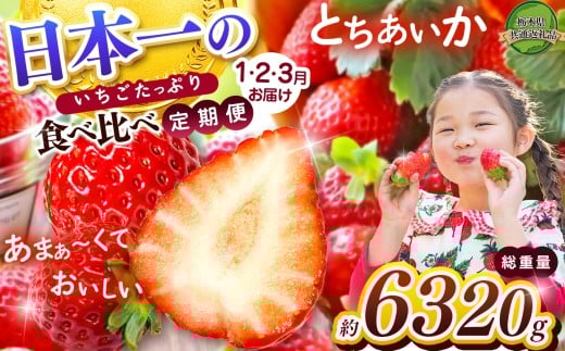 【2026年先行予約】日本一のいちごたっぷり食べ比べ定期便 |定期便 美味しい  いちご 苺 ストロベリー 人気 果物 フルーツ 真岡市 栃木県 限定品種 送料無料 とちあいか 食べ比べ 