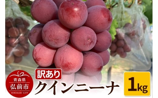 【25年9月～発送】 【訳あり】 クインニーナ 1kg【先行受付】 ぶどう フルーツ 果物 ブドウ 葡萄 グレープ くだもの 産地直送【レビューキャンペーン】
