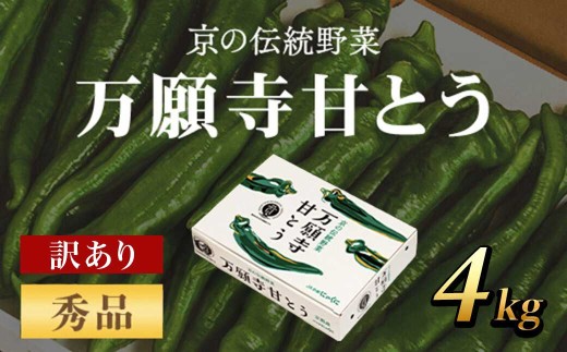京のブランド産品 万願寺甘とう 秀品 4kg [長さ不揃い][2025年発送分] ふるさと納税 京野菜 旬の野菜 万願寺 甘とう とうがらし 訳あり 不揃い 大容量 大型 肉厚 甘い 京都府 福知山市