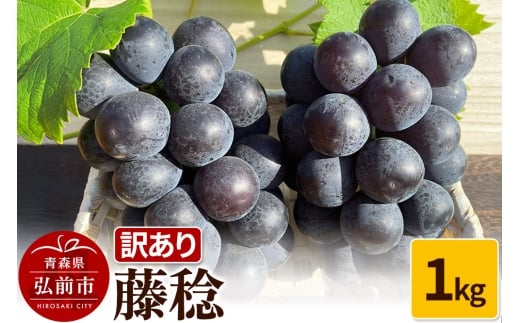 【25年9月～発送】 【訳あり】 藤稔 1kg【先行受付】 ぶどう フルーツ 果物 ブドウ 葡萄 グレープ くだもの 産地直送【レビューキャンペーン】
