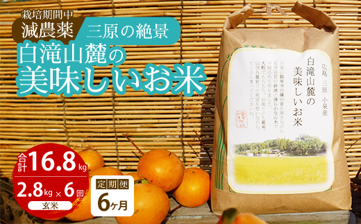 【6か月定期便】≪栽培期間中減農薬≫ 三原の絶景白滝山麓の美味しいお米 玄米 2.8kg×6回 2025年10月発送予定 瀬戸内ビオファーム ご飯 米 おこめ 002036