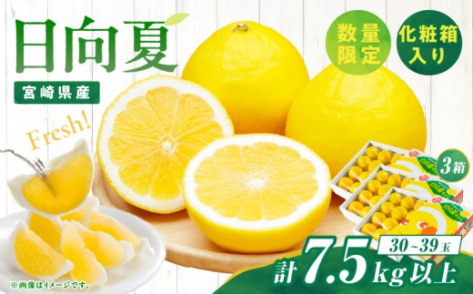 先行予約 日向夏 計7.5kg以上 化粧箱入り 期間限定 数量限定 果物 フルーツ くだもの 柑橘 みかん 令和8年発送 ジュース フルーツサンド おやつ デザート 国産 食品 おすすめ ギフト 贈り物 贈答 おすそ分け お祝い お返し 宮崎県 日南市 送料無料_E43-23 1173493 - 宮崎県日南市