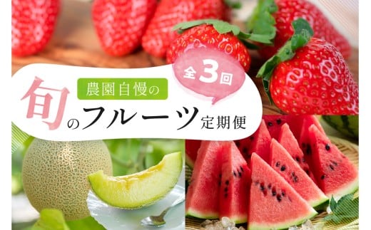 農園自慢の旬のフルーツ 定期便【配送不可地域：北海道・青森・秋田・岩手・沖縄・離島】 ふるさと納税 フルーツ 定期便 ふるさと納税 定期便 果物 いちご イチゴ 苺 メロン すいか スイカ