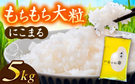 ＼10月より順発送／ 【令和7年度産 新米 】  にこまる  白米  5kg  お米  精米 ご飯  愛西市 / 株式会社戸倉トラクター [AECS055] 1456574 - 愛知県愛西市