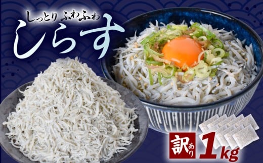【訳あり】釜揚げしらす 1kg 2258540 - 高知県安芸市